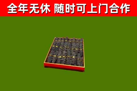 金沙县回收海参